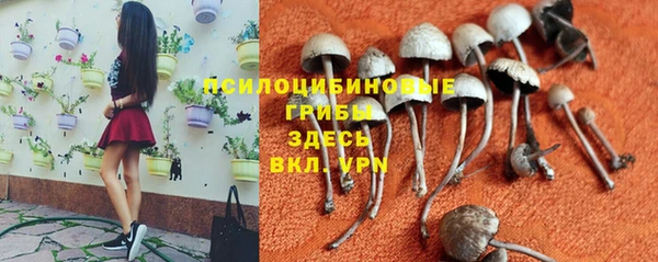 молекула духа Заволжье