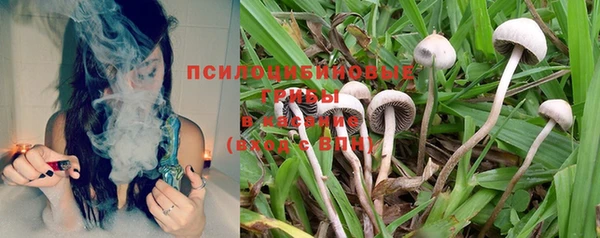 трава Богданович