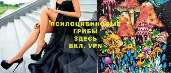 экстази Богородицк